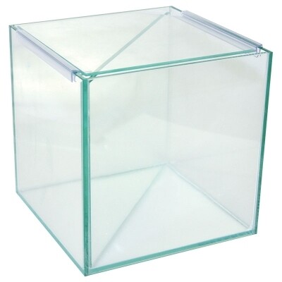 Betta Divided Glass Tank 20W x 20D x 20cm H