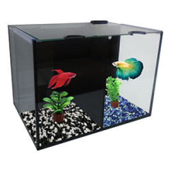 Betta Villa Duo 24 x 17 x 17cm