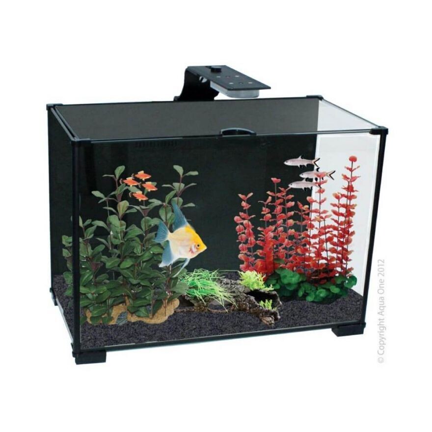 Xpression 21 Fish Tank