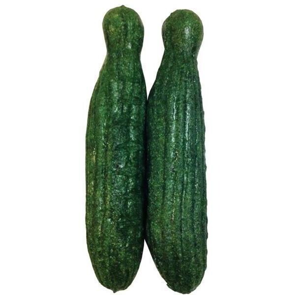 Veggie Patch Nibblers Cucumbers Pack of 2
