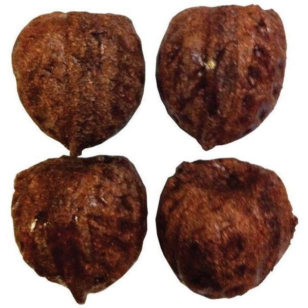 Veggie Patch Nibblers Walnuts  Pack of 4