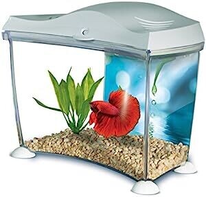 Marina Betta Aquarium 6.7ltrs
