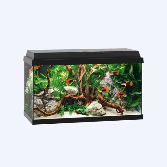 Juwel Primo 60 Black Aquarium