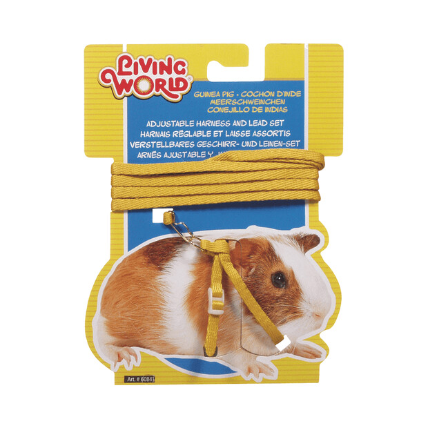Guinea Pig Harness/Lead Set