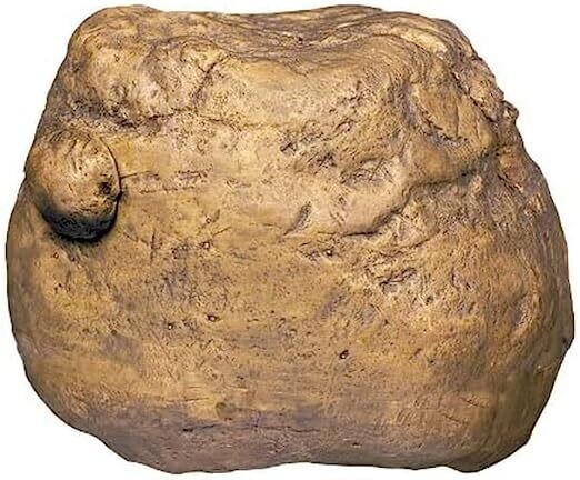 Exo Terra Cricket Feeder