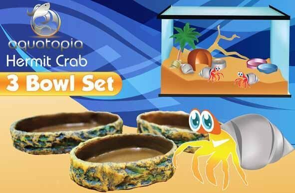 HERMIT CRAB THREE BOWL SET
