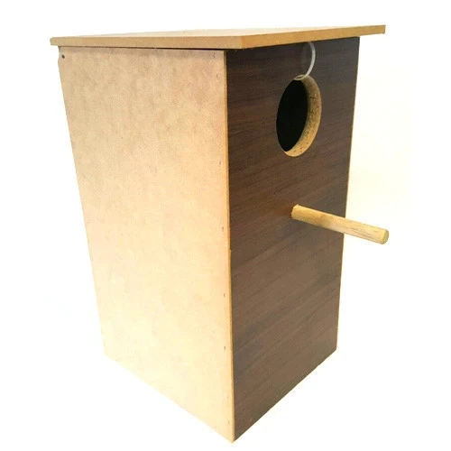 Nesting Box Parrot