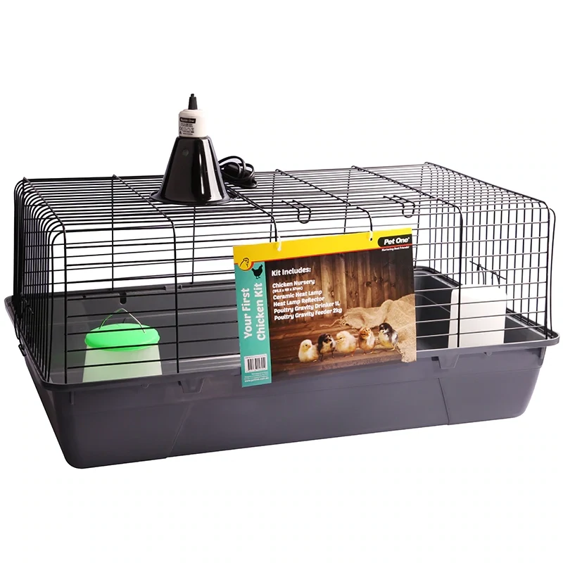 Your First Chicken Kit