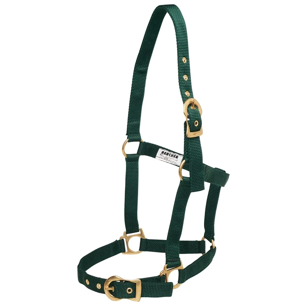 Rancher HALTER w/BRASS BUCKLES Cob/Hunter Green