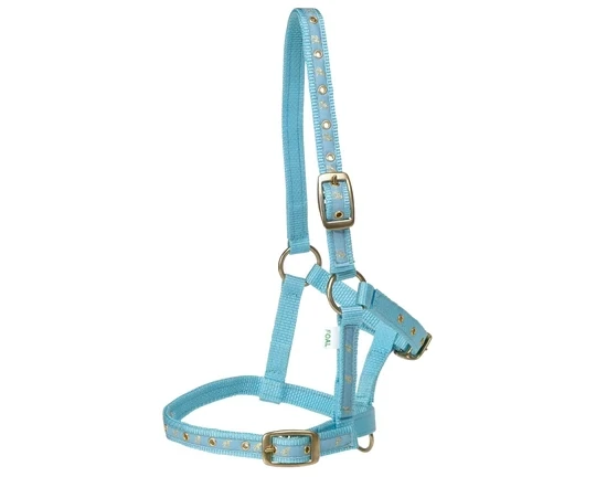 Rancher DELUXE FOAL HALTER Blue
