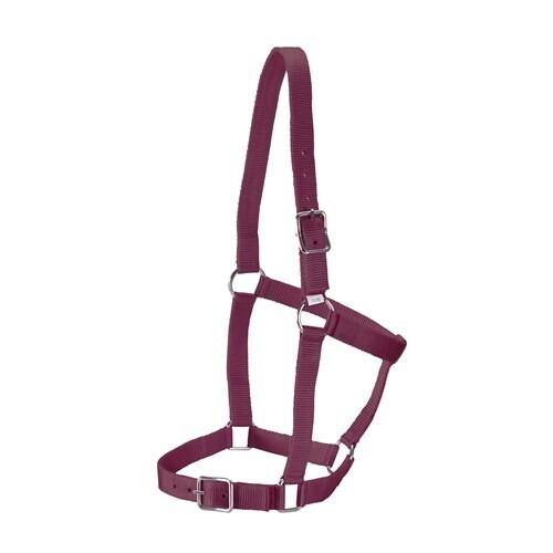Rancher STABLE HALTER Full/Burgundy