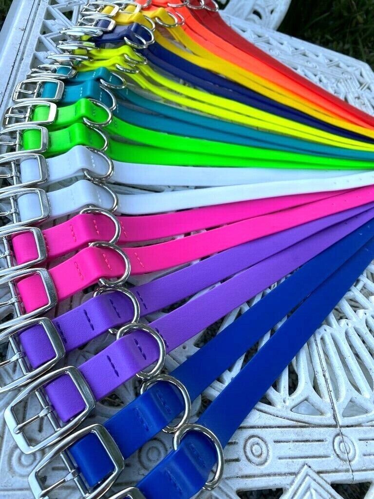 Collar Greyhound PVC 3/4&#39; Asort Col