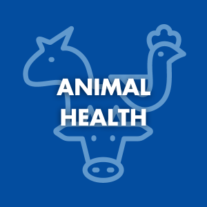 Animal Health