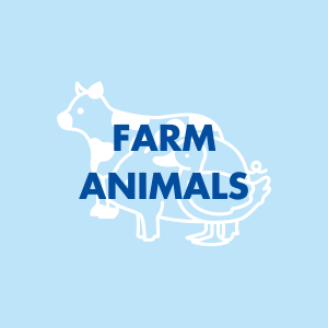 Farm Animals