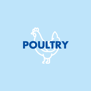 Poultry