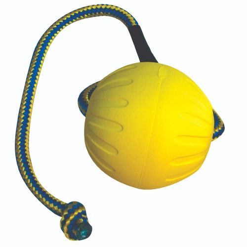 Swing &amp; Fling Fetch Ball Med