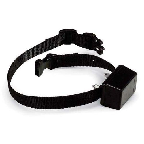 Innotek SD-2000 extra collar