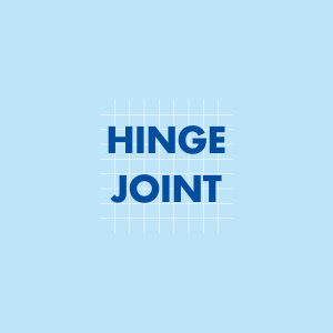Hinge Joint