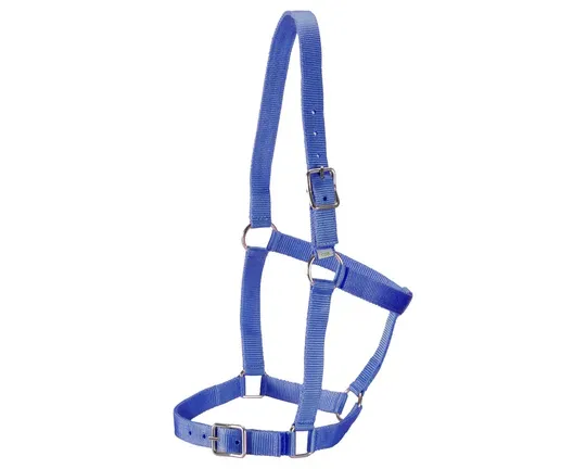 Stable Halter Blue Pony