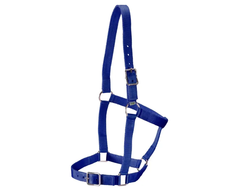 Stable Halter Navy Cob