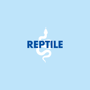 Reptile