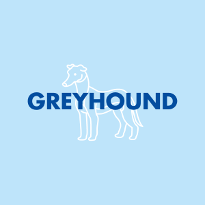 Greyhound
