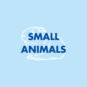Small Animals