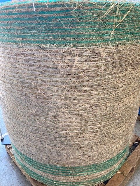 Hay Round Bale Rhodes Grass