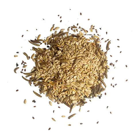 Morning Mix BSFL Cranberries &amp; Flax Seeds 680g