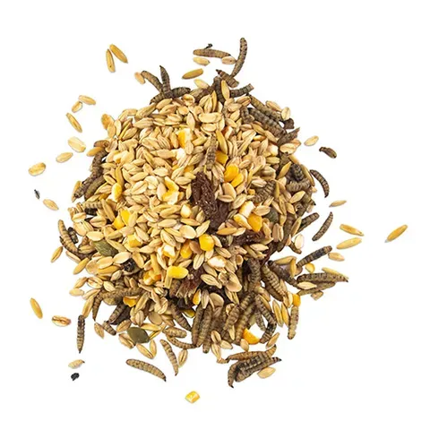 Morning Mix BSFL Raisin &amp; Pumpkin Seed 680g