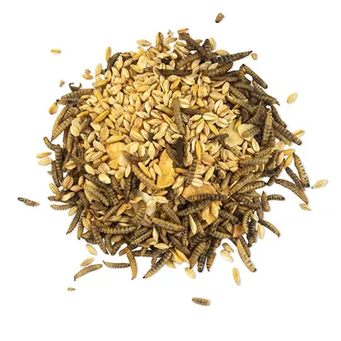Morning Mix BSFL Banana &amp; Almonds 680g