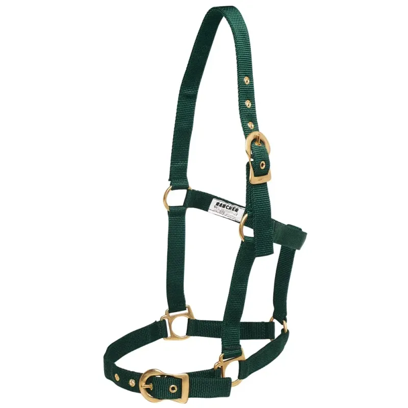 Rancher HALTER w/BRASS BUCKLES Cob/Hunter Green