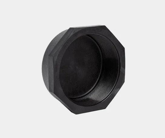 GC25 Cap Bsp Nylon 1in