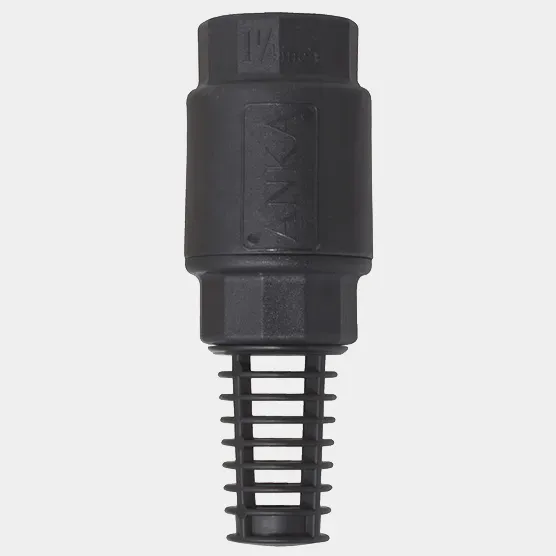 AFV25 Foot Valve (Nylon) 1' FI BSPT