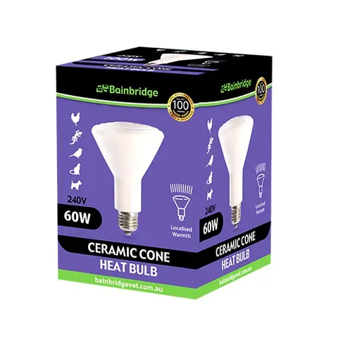 Ceramic Cone Heat Bulb 60W