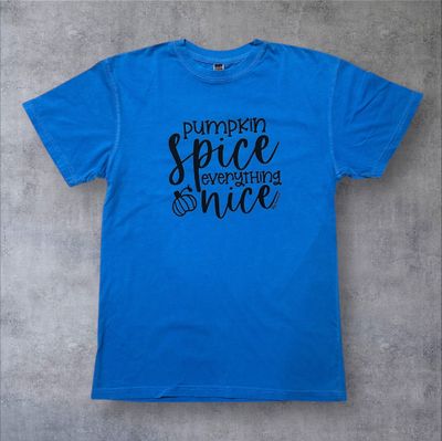 Pumpkin Spice &amp; Everything Nice Dyed T-shirts (Adult Small)