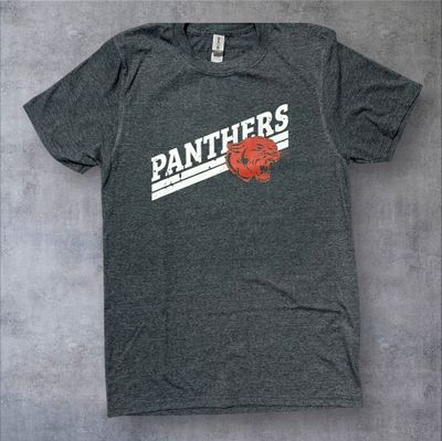 Panthers Softstyle T-Shirt (Adult Small)