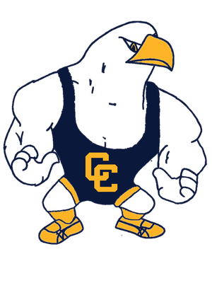 2026 State Bound Columbia Central Wrestling