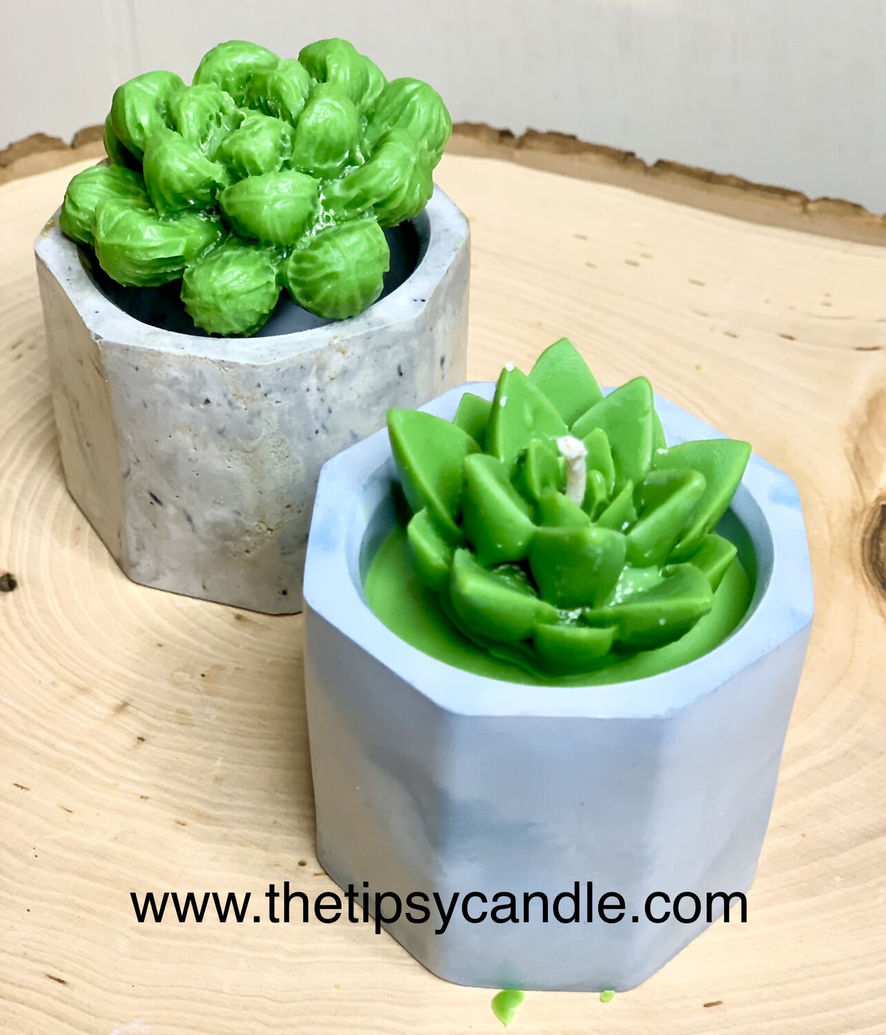 Set Of 2 Succulent Candles & Cement Holders