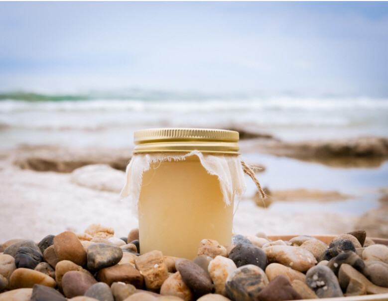 Wildcrafted Eucheuma Cottonii (Gold) Sea Moss Gel, Size: 8oz.