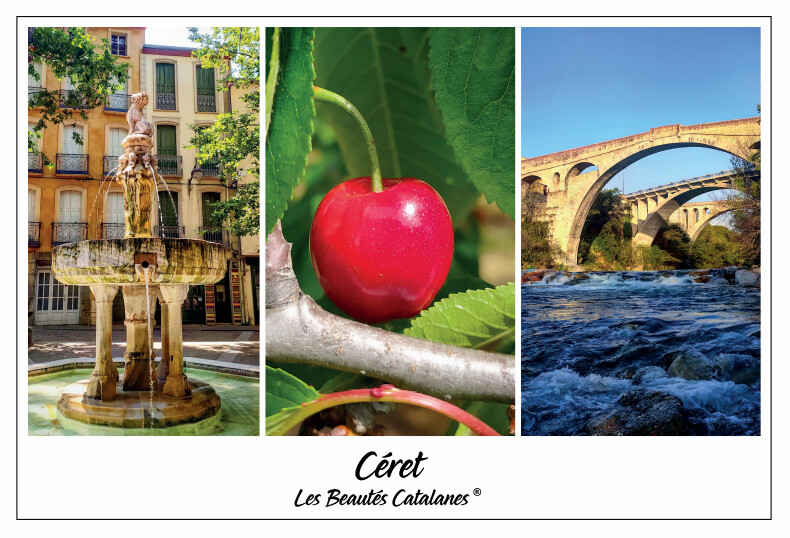 Torchon "Regards sur Céret"