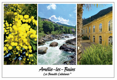 Torchon "Regards sur Amélie les Bains"