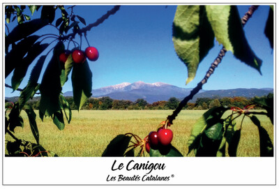 Torchon "Le Canigou et les Cerises"