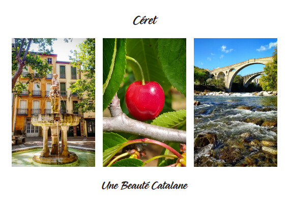 Carte Postale "Regards sur Céret"