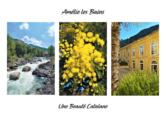 Carte Postale "Regards sur Amélie les Bains"