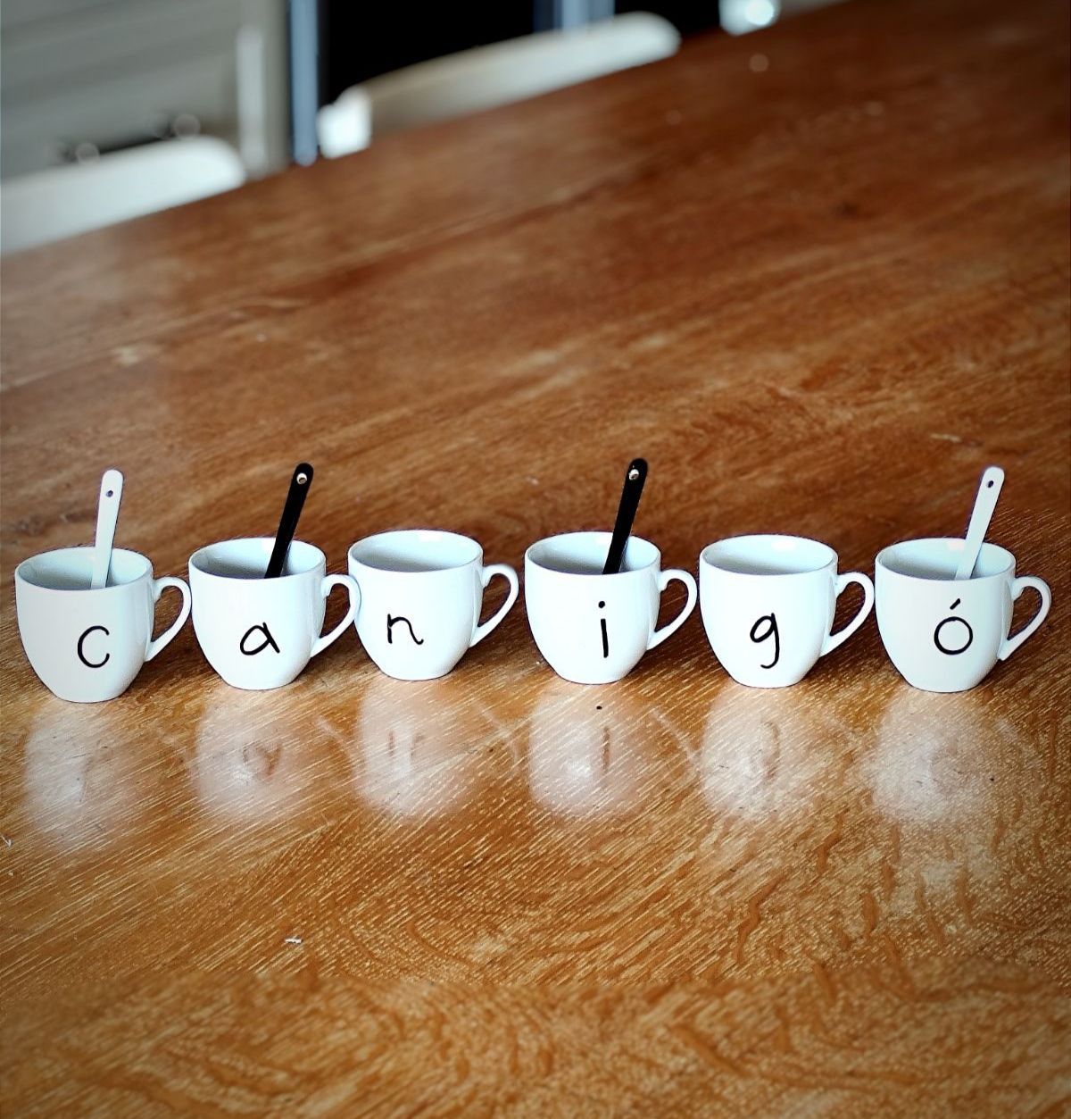 Coffret 6 Tasses Expresso "canigó"