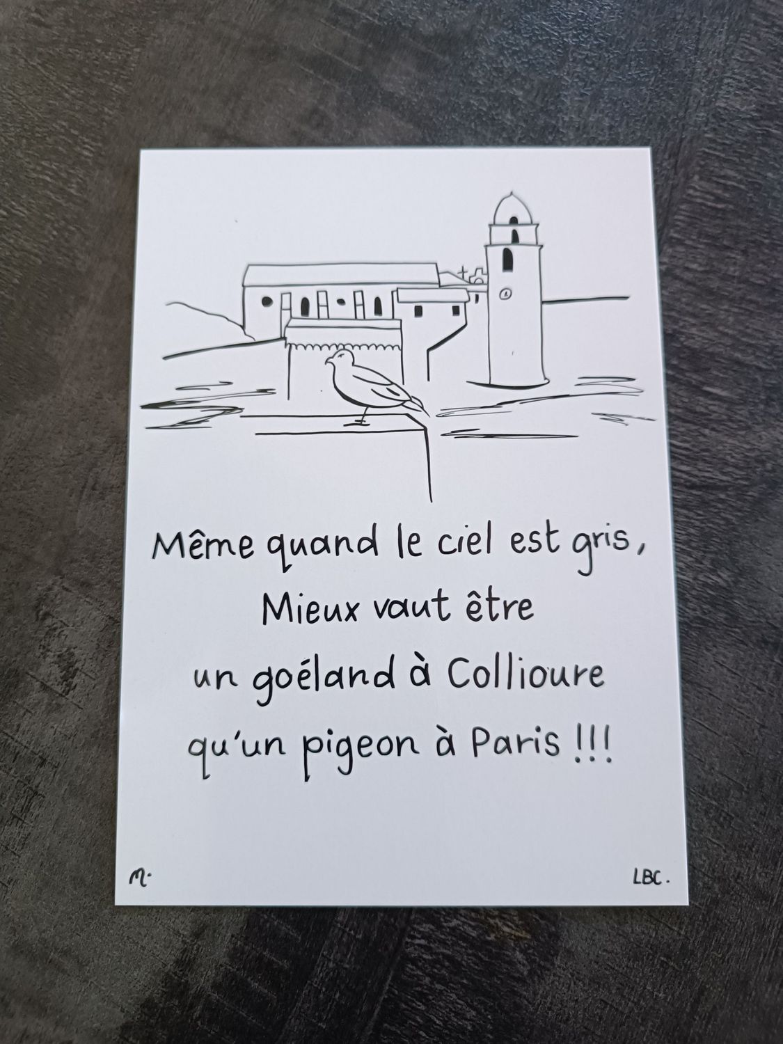 Carte Postale "Le Goéland de Collioure"