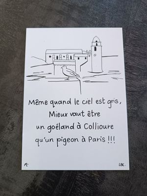 Affiche 50x70 cm "Le Goéland de Collioure" Délai 15 Jours
