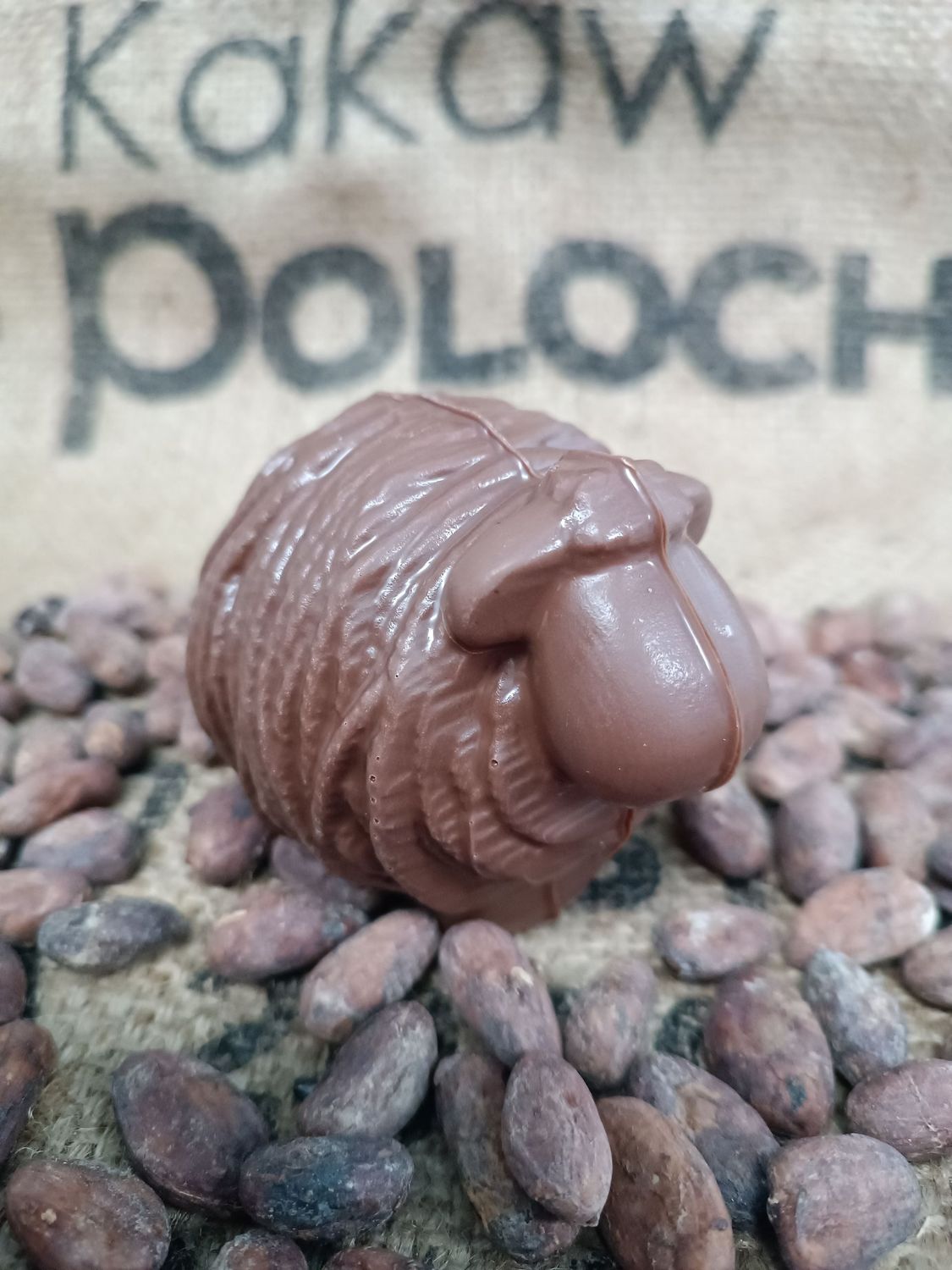 Le Mouton Garni Chocolat Lait