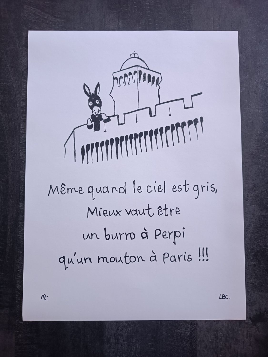 Affiche 50x70 cm "Le Burro de Perpignan" Délai 15 Jours